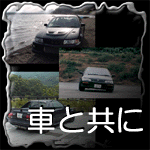 �֤ȶ�����